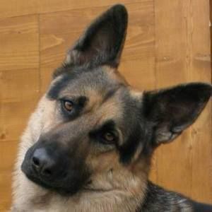 Meet your Posher, Mruz